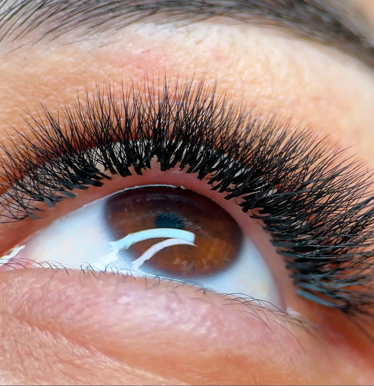 LashMasters